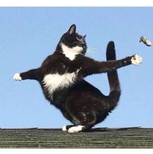 Meet your Posher, Ahreum